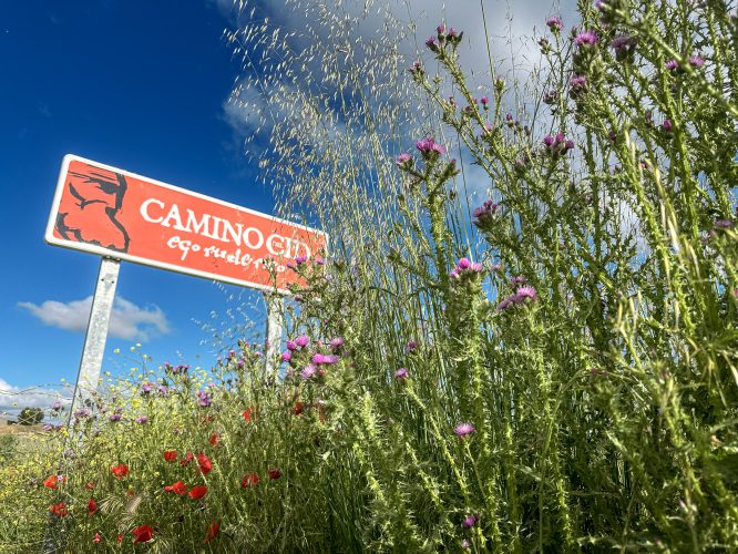 Kees Lucassen 22042026 Cartagena 1