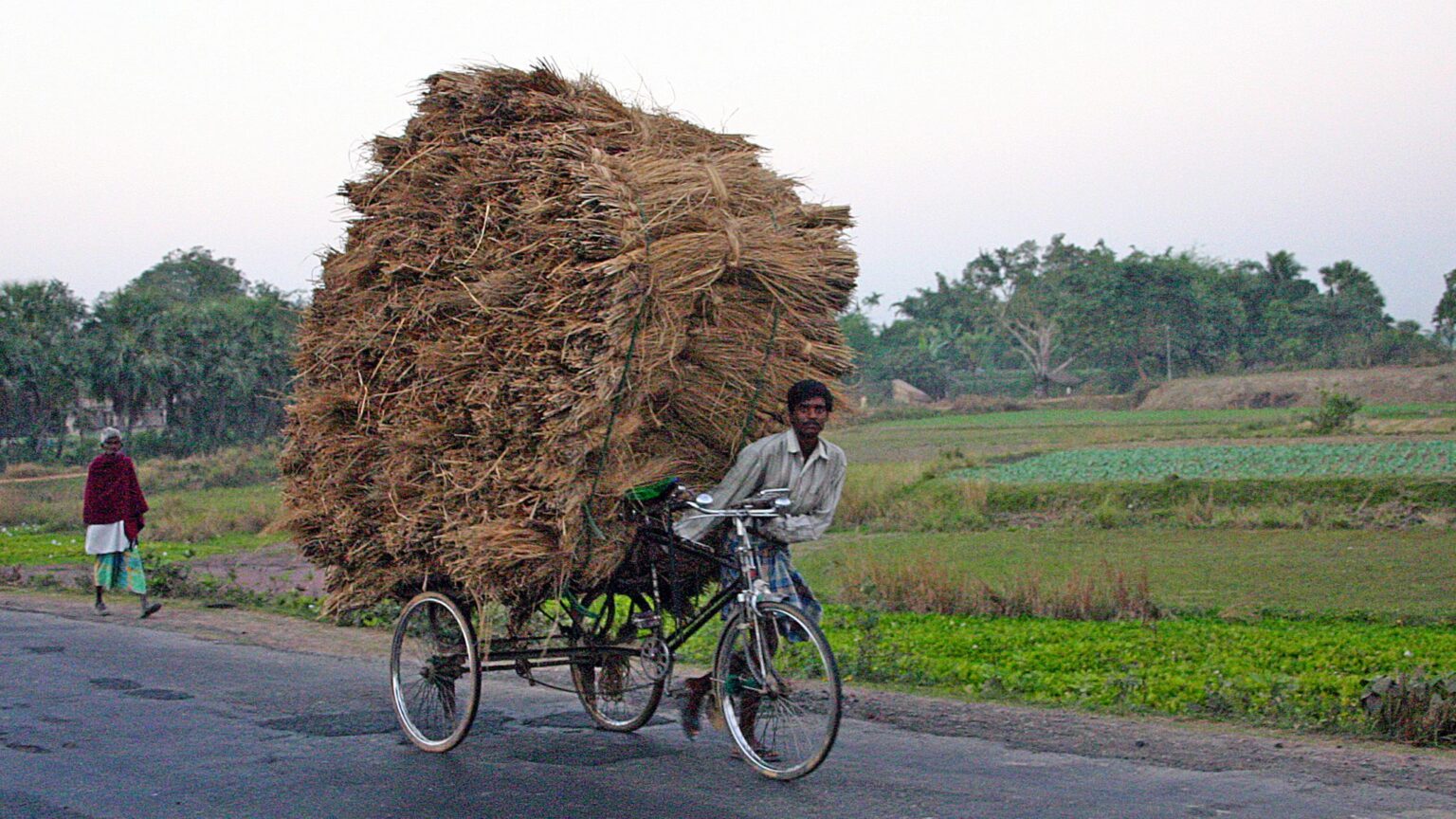 Indiase fietser stro hooi calcutta