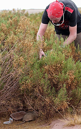 Eric filmt gordeldier