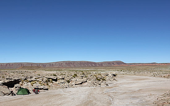 Kameren in een droge rivierbedding op de altiplano