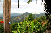 Jamaica